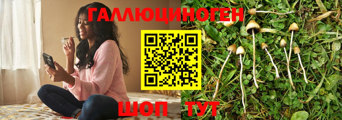 Галлюциногенные грибы мухоморы Алушта